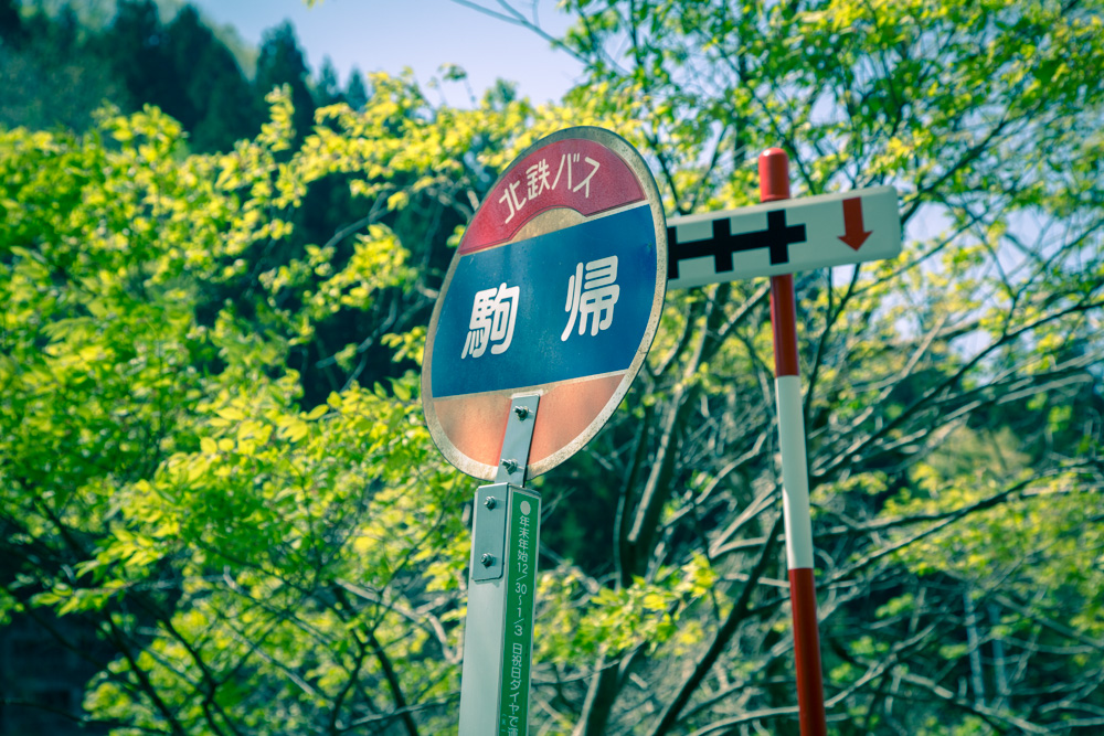 金沢の犀果ての地を目指して行けるところまで行ってみた！そこには進めど進めど人がいて倒木でストップだった2015年