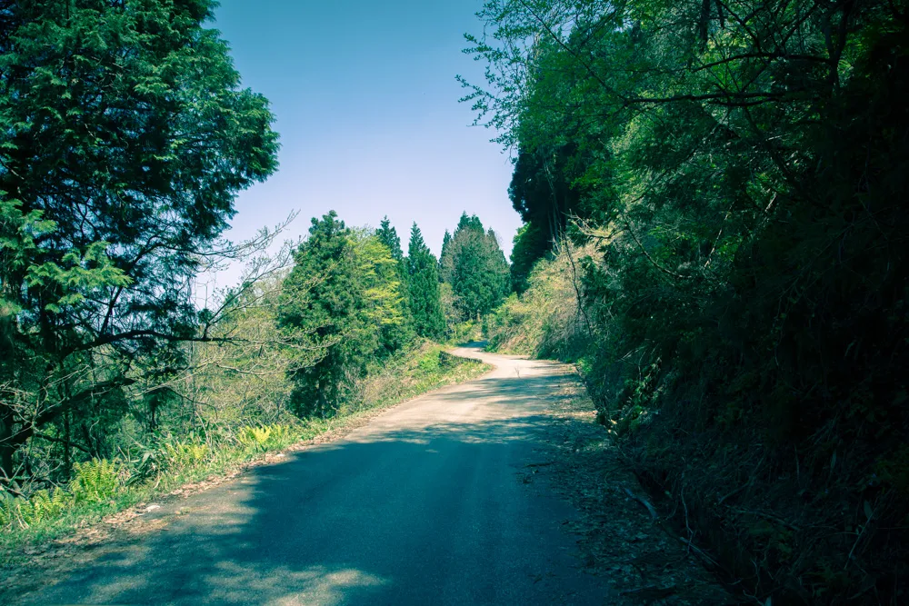 金沢の犀果ての地を目指して行けるところまで行ってみた！そこには進めど進めど人がいて倒木でストップだった2015年