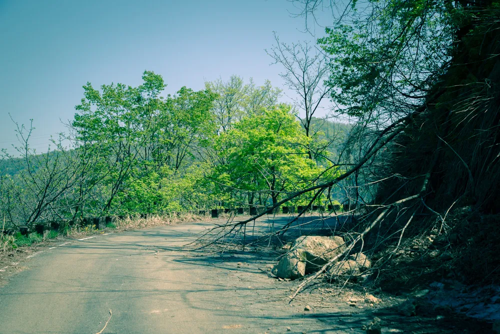 金沢の犀果ての地を目指して行けるところまで行ってみた！そこには進めど進めど人がいて倒木でストップだった2015年