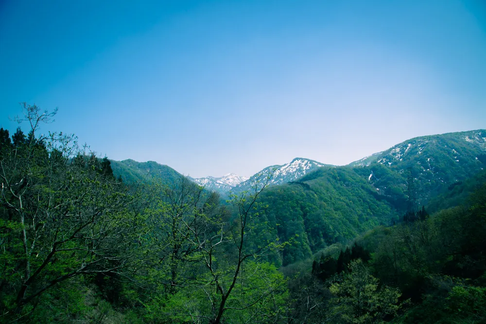 金沢の犀果ての地を目指して行けるところまで行ってみた！そこには進めど進めど人がいて倒木でストップだった2015年