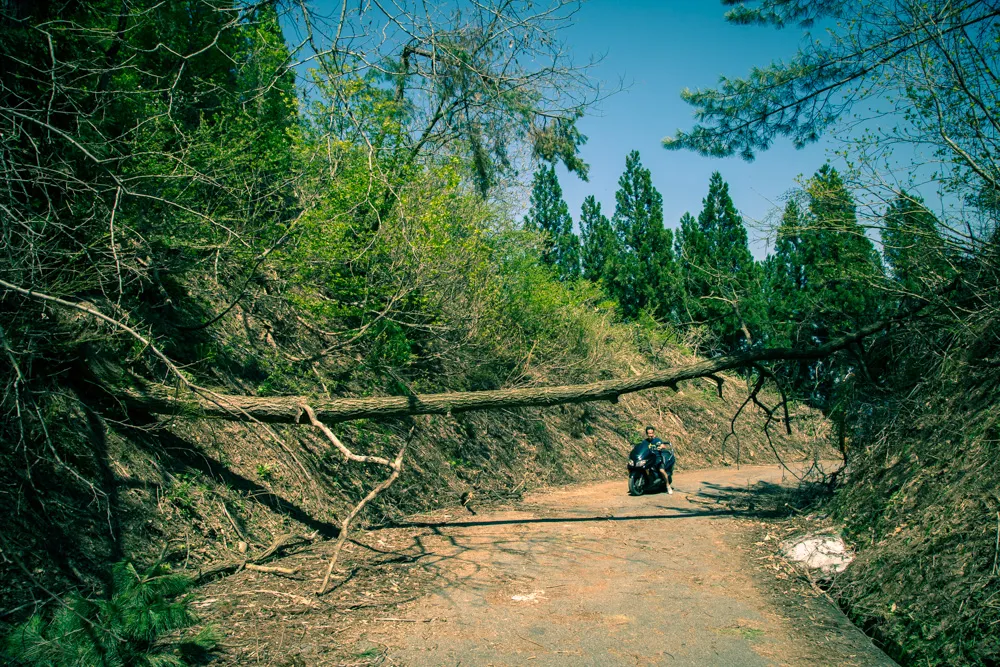 金沢の犀果ての地を目指して行けるところまで行ってみた！そこには進めど進めど人がいて倒木でストップだった2015年
