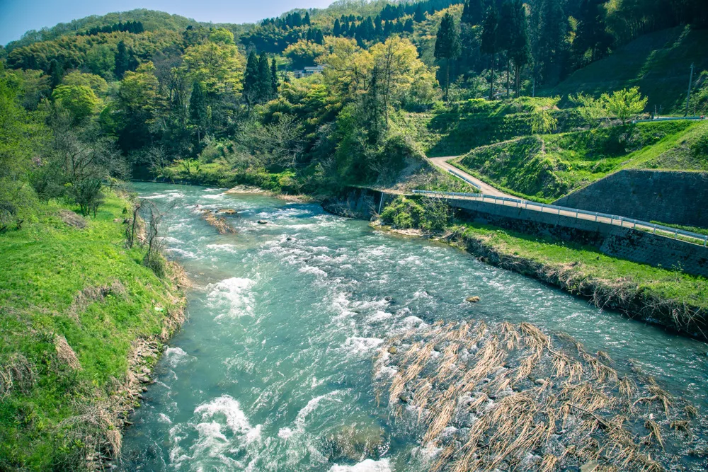 金沢の犀果ての地を目指して行けるところまで行ってみた！そこには進めど進めど人がいて倒木でストップだった2015年