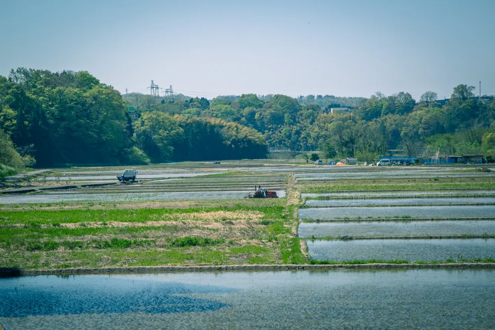 金沢の犀果ての地を目指して行けるところまで行ってみた！そこには進めど進めど人がいて倒木でストップだった2015年