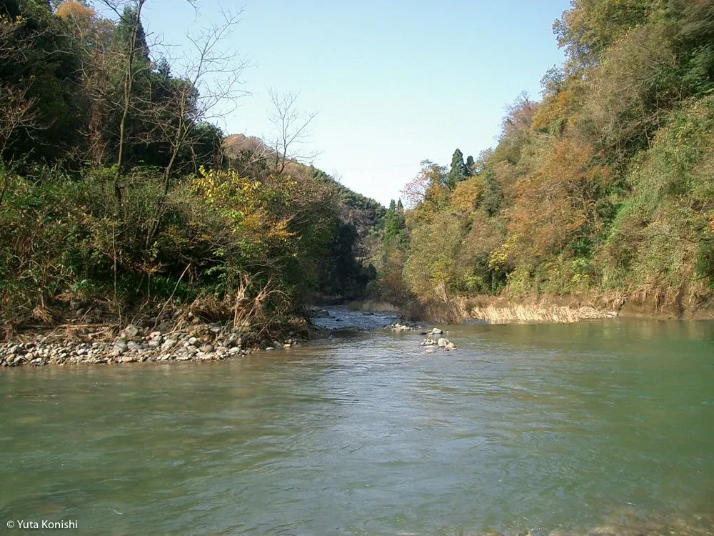 金沢の犀果ての地を目指して行けるところまで行ってみた！そこには進めど進めど人がいて倒木でストップだった2015年