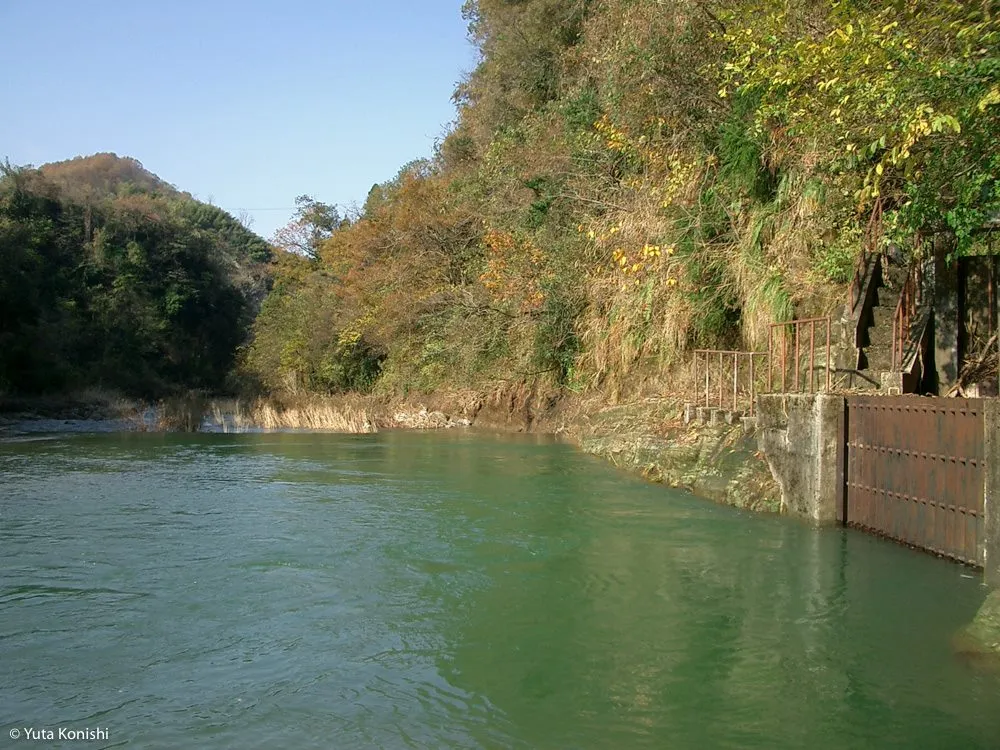 金沢の犀果ての地を目指して行けるところまで行ってみた！そこには進めど進めど人がいて倒木でストップだった2015年
