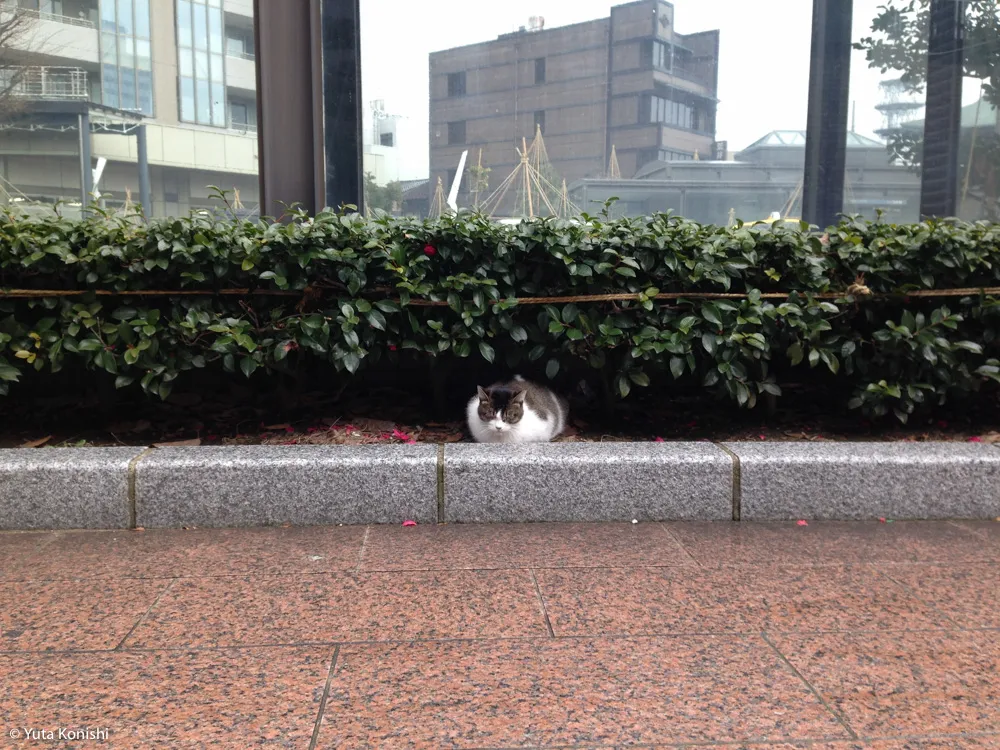 ingress 金沢観光ミッション!なんと30ものミッションメダルを観光しながらクリアする完全マニュアル!