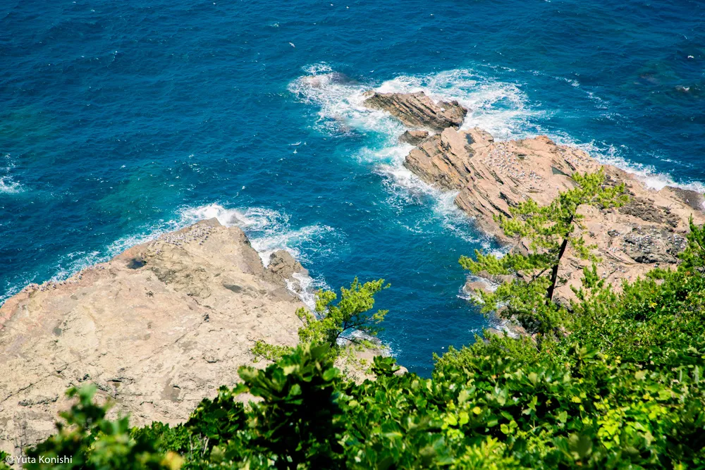 輪島観光完全満喫マニュアル！えっ？！まじ？！金沢から一日でこんなに回れんの？「ゆりりん」と行く朝市・大沢・千枚田の日帰りの旅！石川県民が輪島の魅力を本気で凝縮しました！