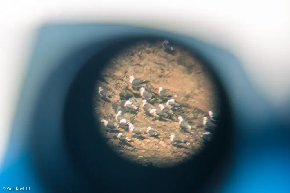 輪島観光完全満喫マニュアル！えっ？！まじ？！金沢から一日でこんなに回れんの？「ゆりりん」と行く朝市・大沢・千枚田の日帰りの旅！石川県民が輪島の魅力を本気で凝縮しました！