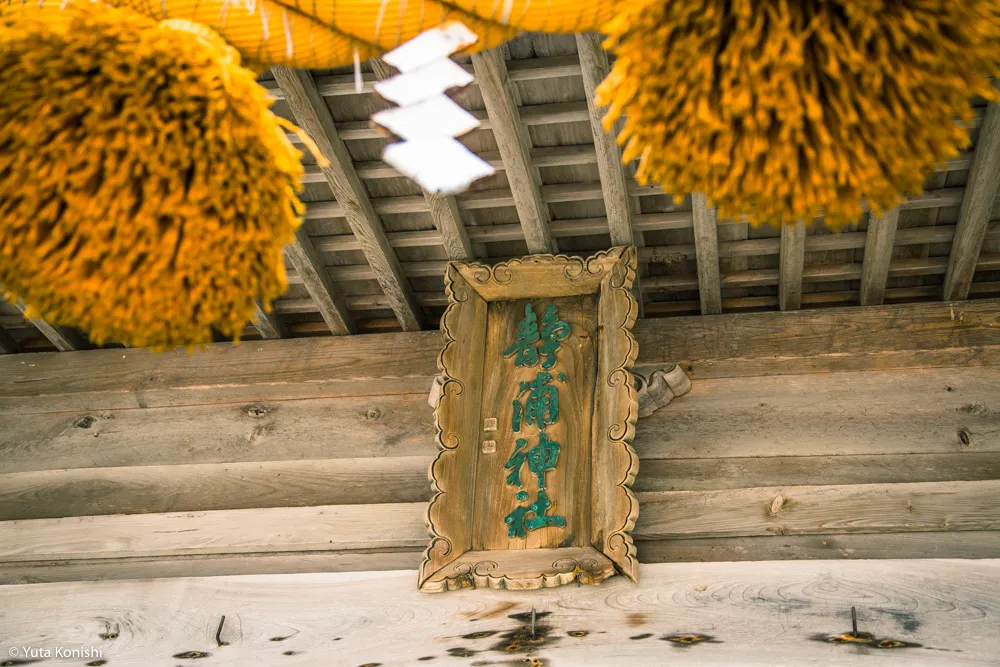 輪島観光完全満喫マニュアル！えっ？！まじ？！金沢から一日でこんなに回れんの？「ゆりりん」と行く朝市・大沢・千枚田の日帰りの旅！石川県民が輪島の魅力を本気で凝縮しました！