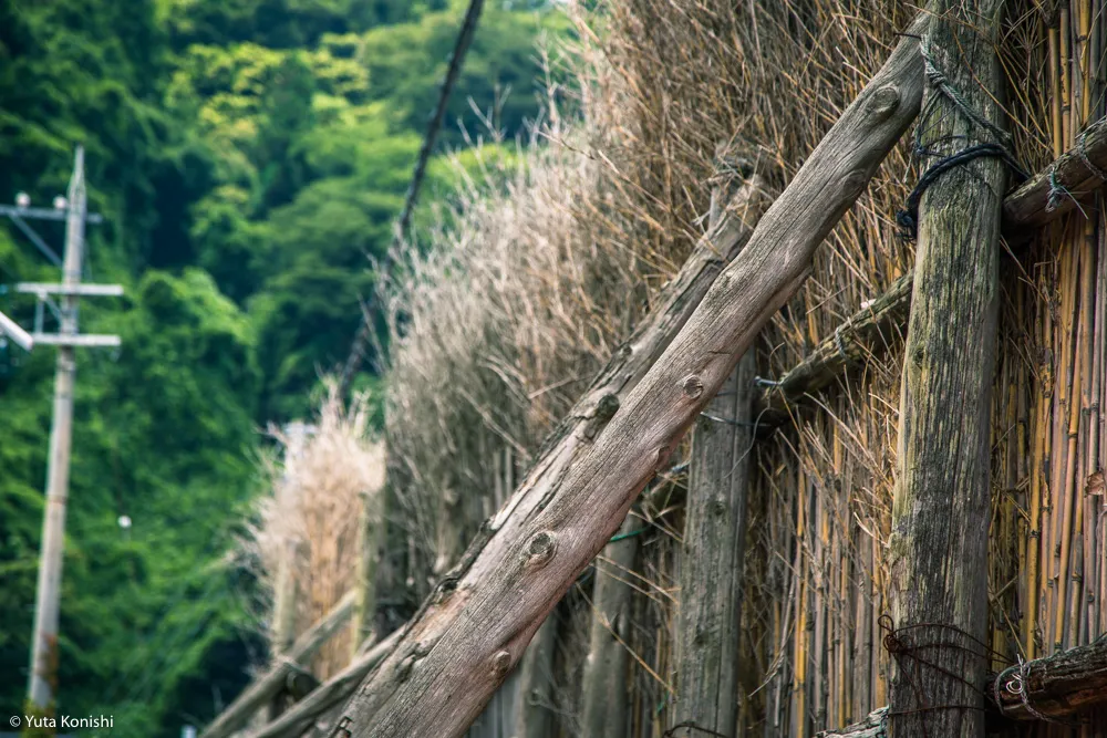 輪島観光完全満喫マニュアル！えっ？！まじ？！金沢から一日でこんなに回れんの？「ゆりりん」と行く朝市・大沢・千枚田の日帰りの旅！石川県民が輪島の魅力を本気で凝縮しました！