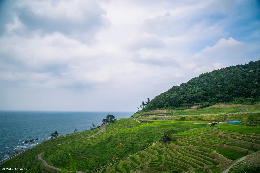 輪島観光完全満喫マニュアル！えっ？！まじ？！金沢から一日でこんなに回れんの？「ゆりりん」と行く朝市・大沢・千枚田の日帰りの旅！石川県民が輪島の魅力を本気で凝縮しました！