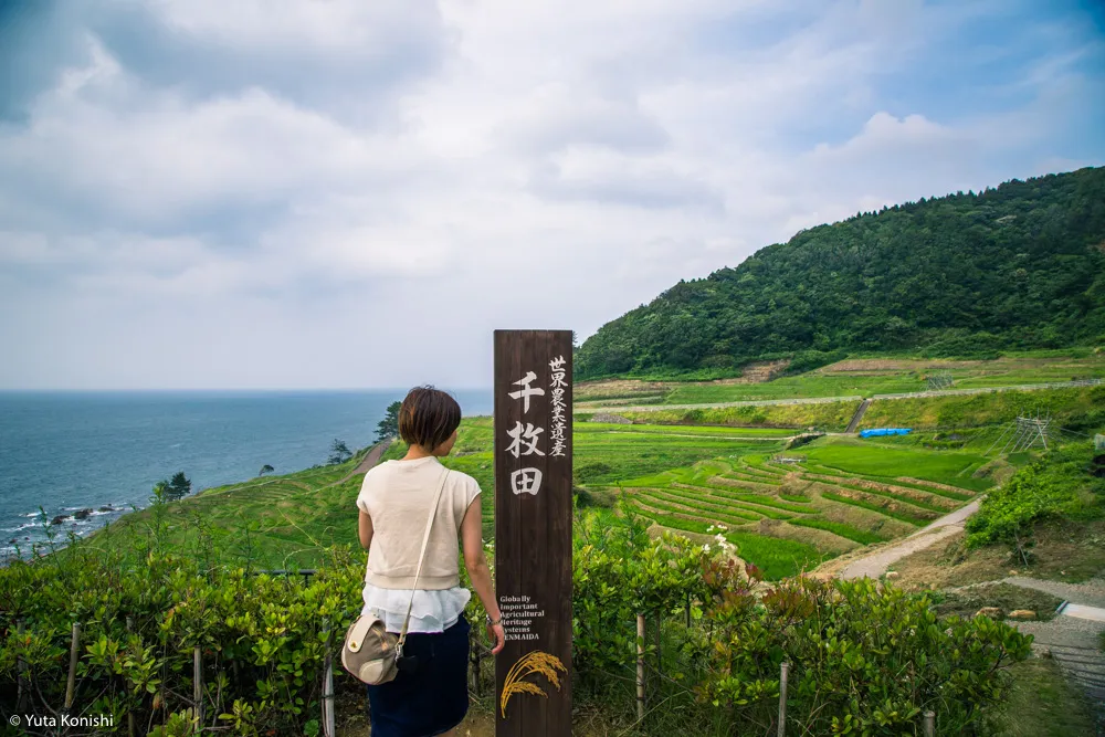 輪島観光完全満喫マニュアル！えっ？！まじ？！金沢から一日でこんなに回れんの？「ゆりりん」と行く朝市・大沢・千枚田の日帰りの旅！石川県民が輪島の魅力を本気で凝縮しました！