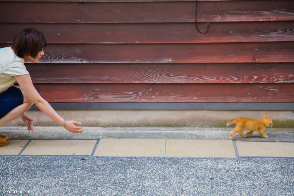 輪島観光完全満喫マニュアル！えっ？！まじ？！金沢から一日でこんなに回れんの？「ゆりりん」と行く朝市・大沢・千枚田の日帰りの旅！石川県民が輪島の魅力を本気で凝縮しました！