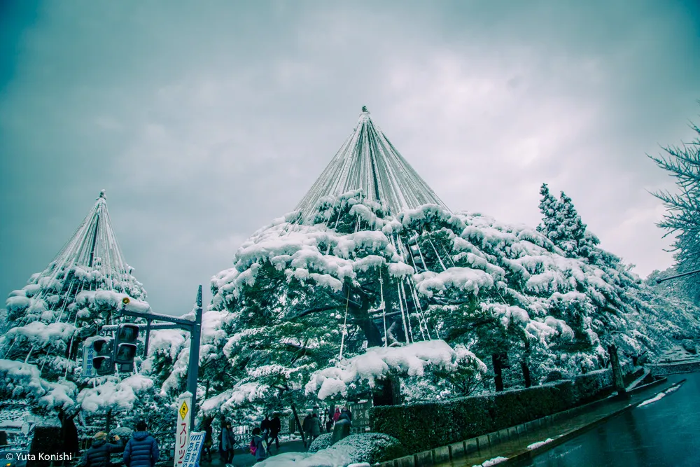 真夏だからこそ真冬の兼六園を感じていただきます2015夏！一気に気温が5度は下がるからｗｗｗｗ