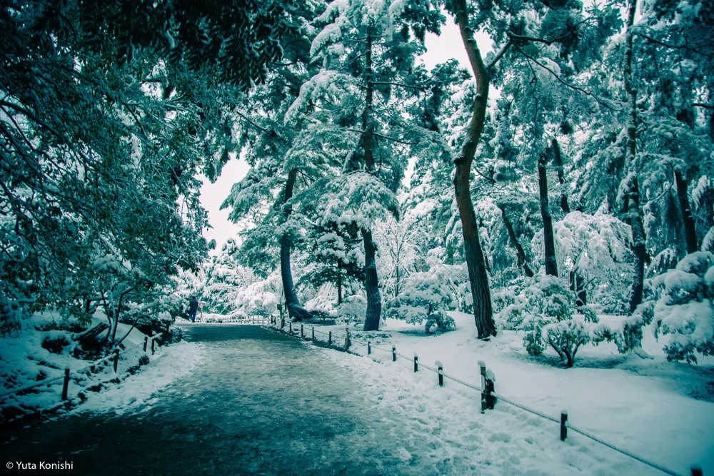 真夏だからこそ真冬の兼六園を感じていただきます2015夏！一気に気温が5度は下がるからｗｗｗｗ