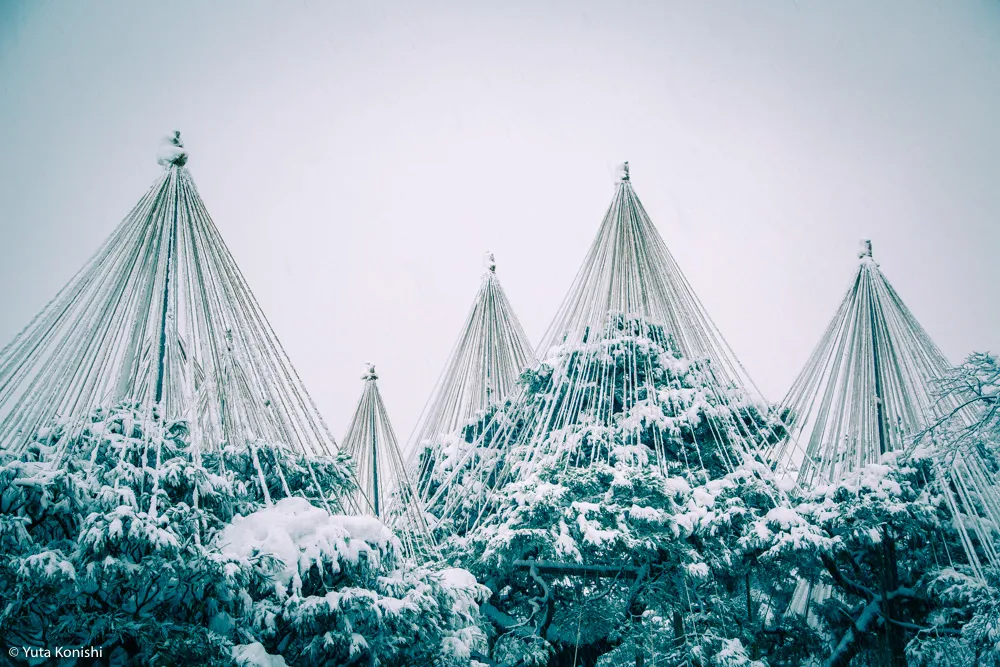 真夏だからこそ真冬の兼六園を感じていただきます2015夏！一気に気温が5度は下がるからｗｗｗｗ