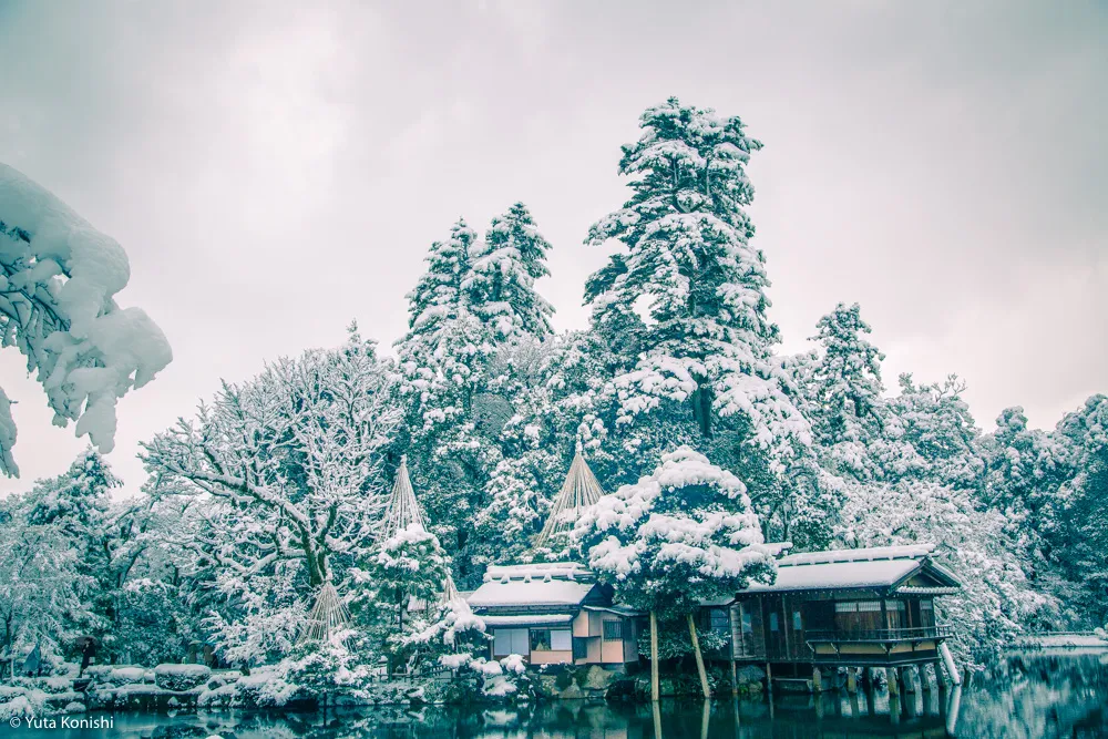 真夏だからこそ真冬の兼六園を感じていただきます2015夏！一気に気温が5度は下がるからｗｗｗｗ