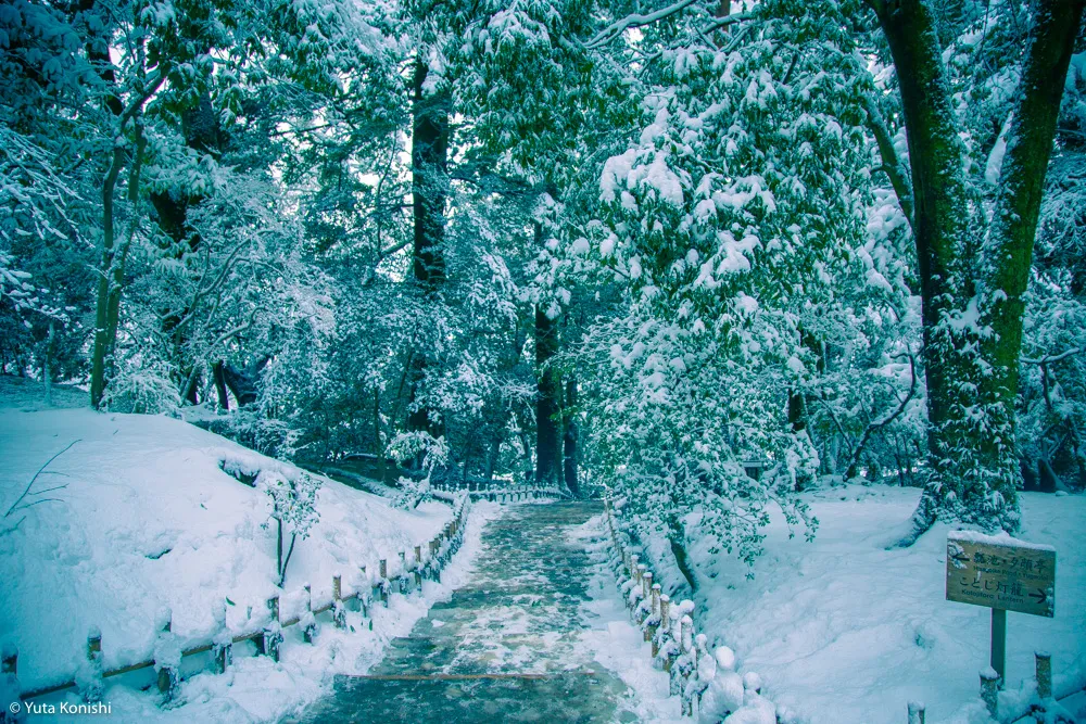 真夏だからこそ真冬の兼六園を感じていただきます2015夏！一気に気温が5度は下がるからｗｗｗｗ