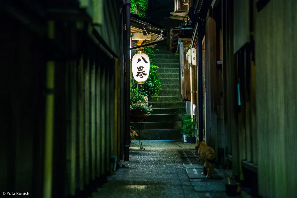 金沢の幽玄美を歩く〜2015お盆の夜のフォトジェニックツアー〜