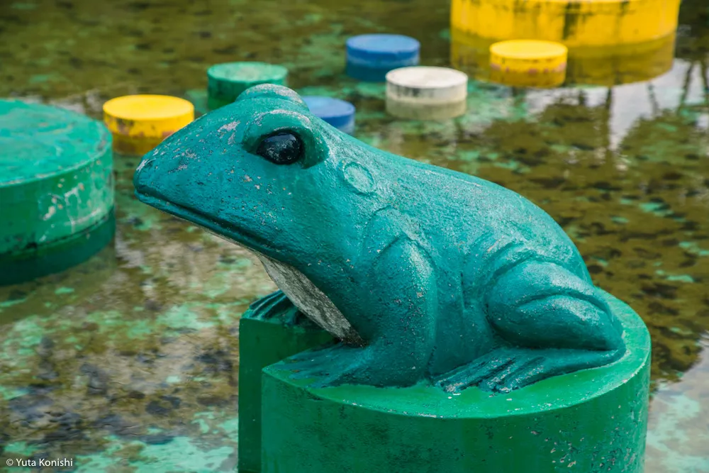 加賀市中央公園パラダイス「もしや?!ここが竜宮城の入り口か?!」加賀に来たらかならず行くべき夢の公園