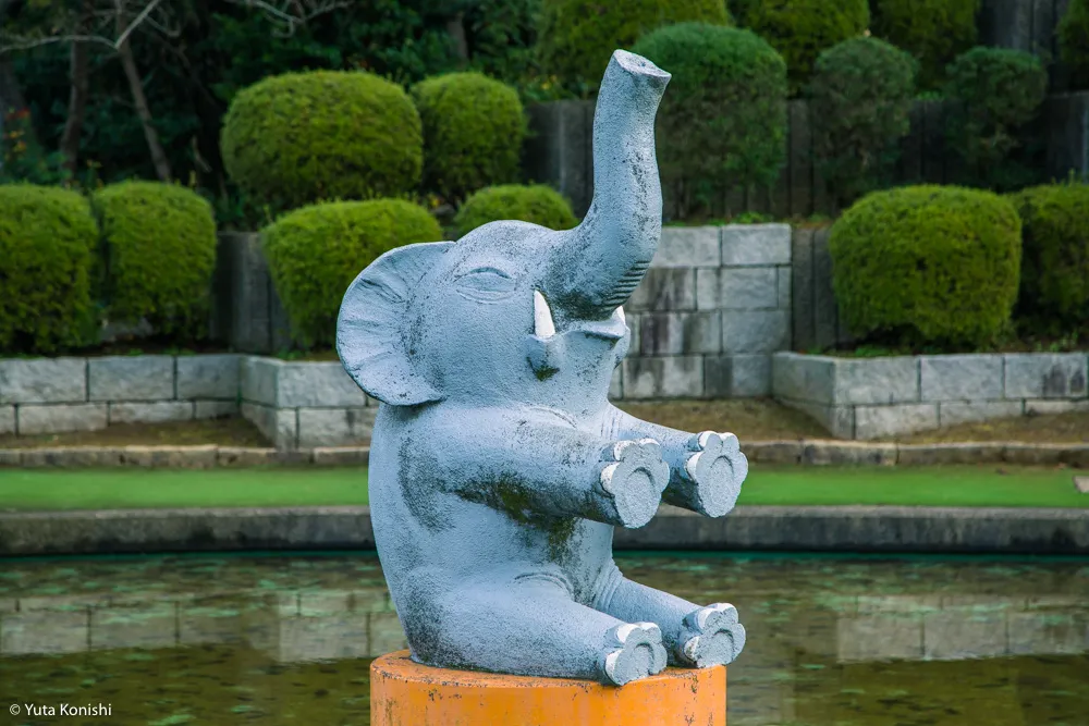 加賀市中央公園パラダイス「もしや?!ここが竜宮城の入り口か?!」加賀に来たらかならず行くべき夢の公園