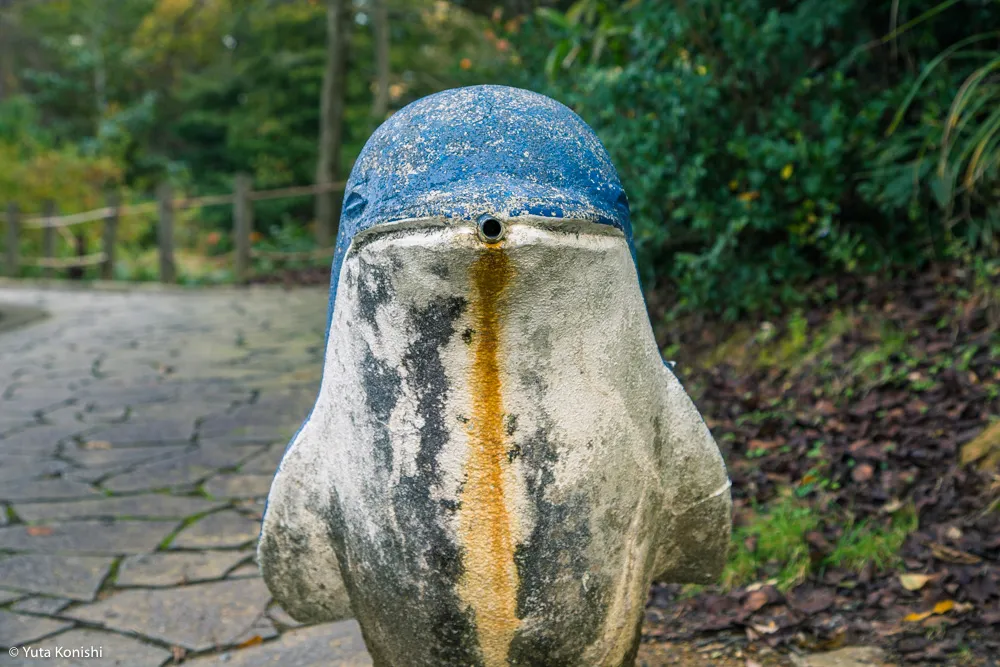 加賀市中央公園パラダイス「もしや?!ここが竜宮城の入り口か?!」加賀に来たらかならず行くべき夢の公園