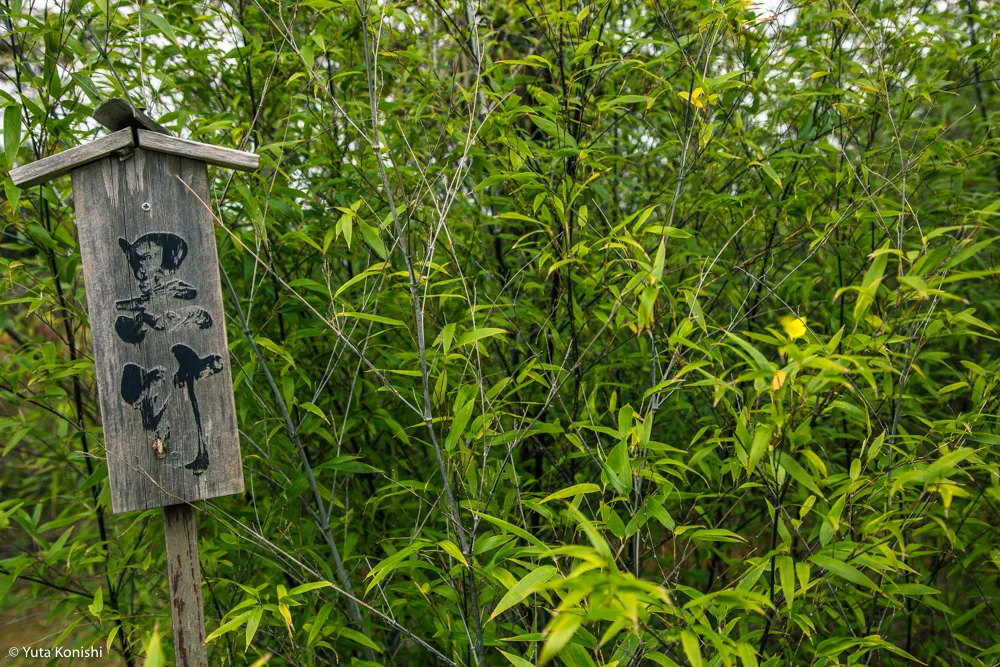 加賀市中央公園パラダイス「もしや?!ここが竜宮城の入り口か?!」加賀に来たらかならず行くべき夢の公園