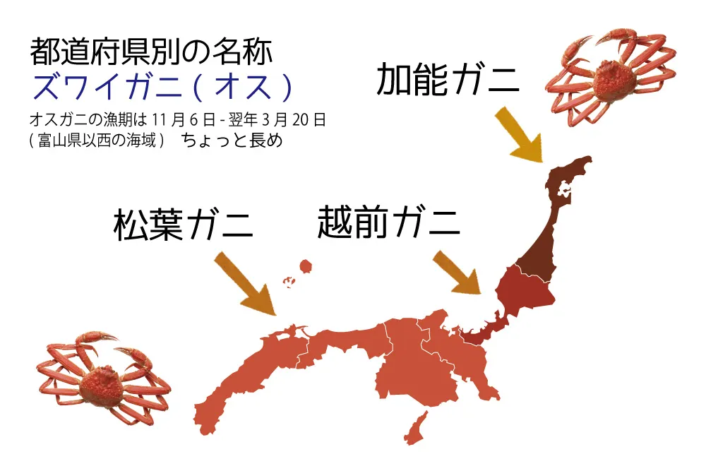 北陸グルメだ味覚の秋だ！グルメを楽しむ前に予習だ！食べる前に知るだけでよりおいしくなる北陸グルメ。