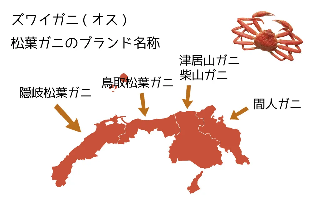 北陸グルメだ味覚の秋だ！グルメを楽しむ前に予習だ！食べる前に知るだけでよりおいしくなる北陸グルメ。