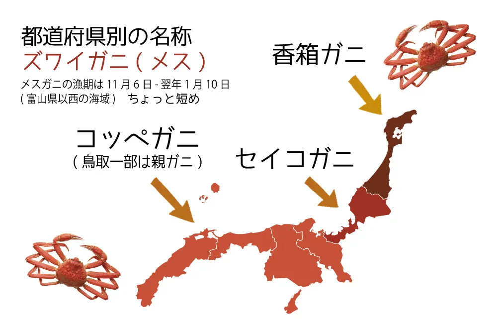 北陸グルメだ味覚の秋だ！グルメを楽しむ前に予習だ！食べる前に知るだけでよりおいしくなる北陸グルメ。