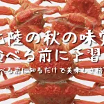 カニでしょ！北陸グルメだ味覚の秋だ！グルメを楽しむ前にまず予習だ！カニのあれこれ調べました。