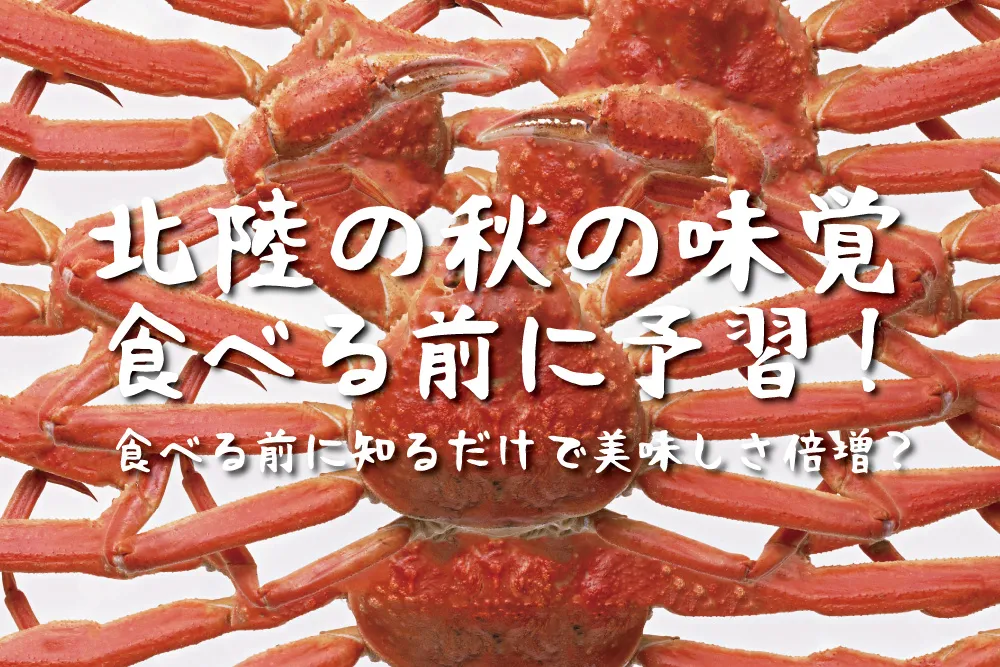 カニでしょ！北陸グルメだ味覚の秋だ！グルメを楽しむ前にまず予習だ！カニのあれこれ調べました。