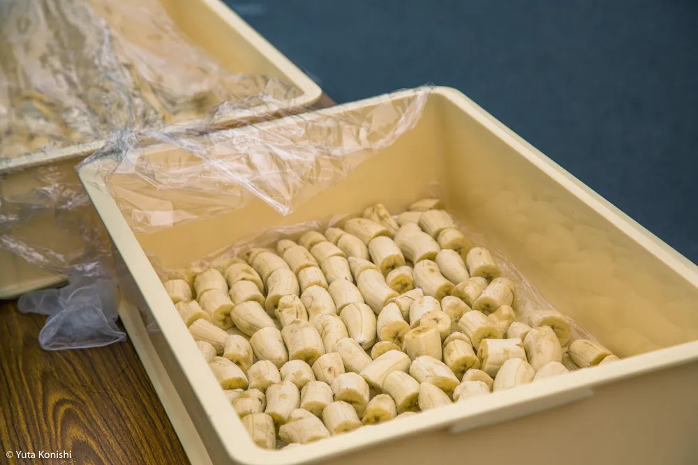 金沢マラソン「食べまっしステーション」口パッサパサ和菓子とカレーは飲み物です?!素晴らしいマラソンでした!