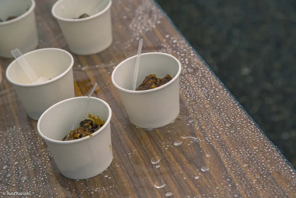 金沢マラソン「食べまっしステーション」口パッサパサ和菓子とカレーは飲み物です?!素晴らしいマラソンでした!