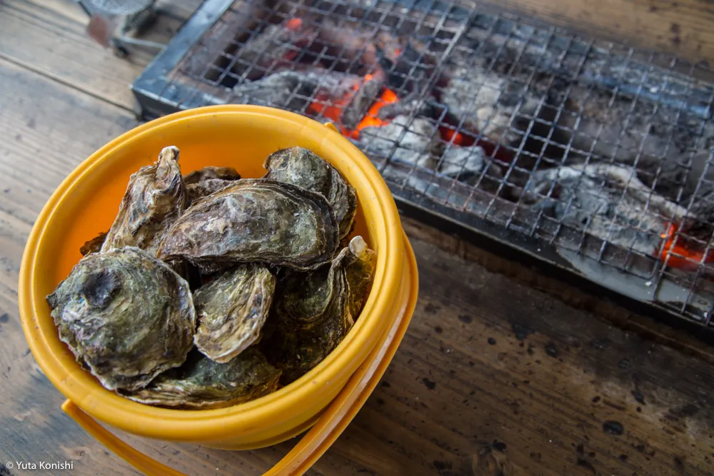 ものすごい勢いで！カニ・牡蠣・ブリ 北陸の味覚を一日ですべてを本場で食味わう究極のグルメツアー！！東京から日帰りでもできる北陸美食ツアー！！