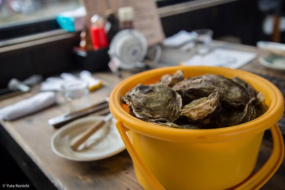 ものすごい勢いで！カニ・牡蠣・ブリ 北陸の味覚を一日ですべてを本場で食味わう究極のグルメツアー！！東京から日帰りでもできる北陸美食ツアー！！
