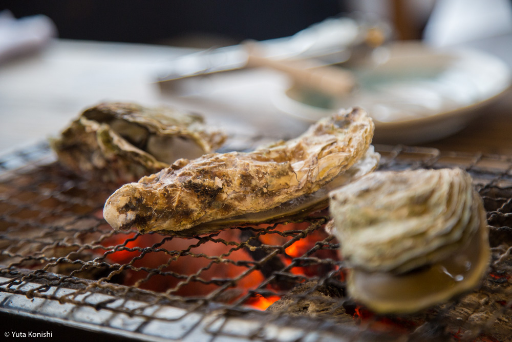 ものすごい勢いで！カニ・牡蠣・ブリ 北陸の味覚を一日ですべてを本場で食味わう究極のグルメツアー！！東京から日帰りでもできる北陸美食ツアー！！