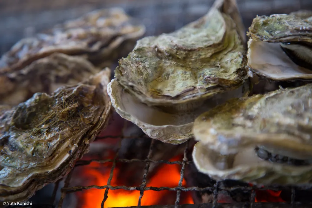 ものすごい勢いで！カニ・牡蠣・ブリ 北陸の味覚を一日ですべてを本場で食味わう究極のグルメツアー！！東京から日帰りでもできる北陸美食ツアー！！