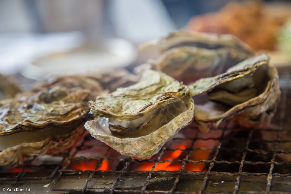 ものすごい勢いで！カニ・牡蠣・ブリ 北陸の味覚を一日ですべてを本場で食味わう究極のグルメツアー！！東京から日帰りでもできる北陸美食ツアー！！