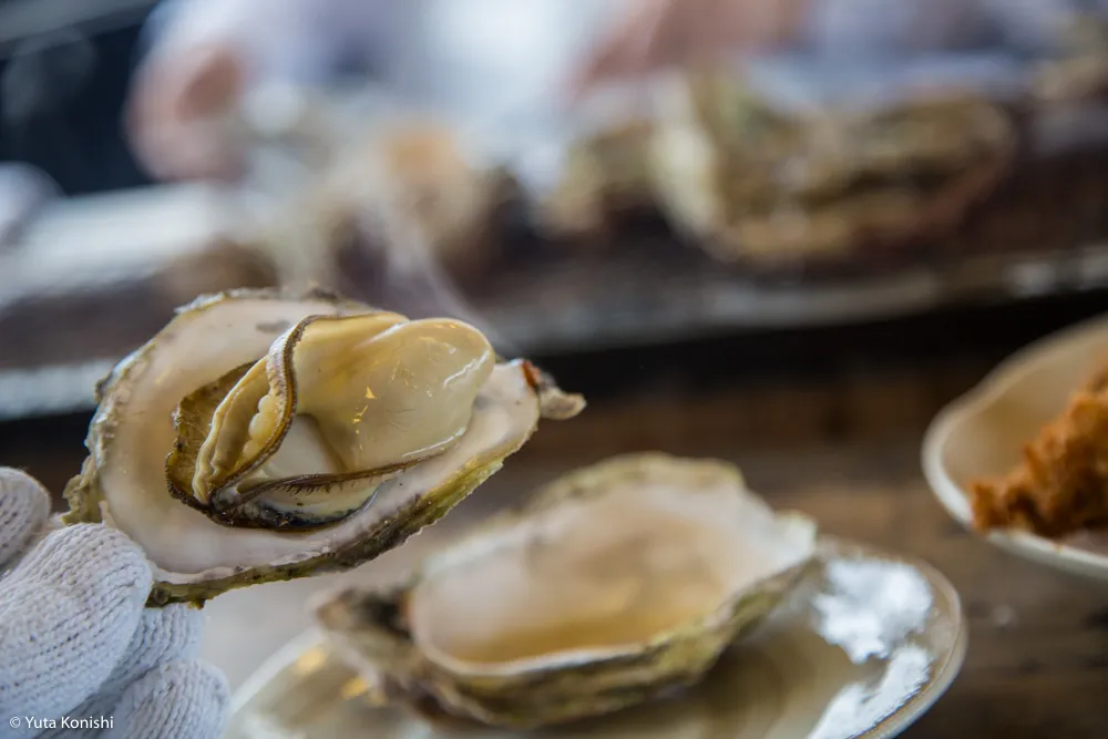 ものすごい勢いで！カニ・牡蠣・ブリ 北陸の味覚を一日ですべてを本場で食味わう究極のグルメツアー！！東京から日帰りでもできる北陸美食ツアー！！