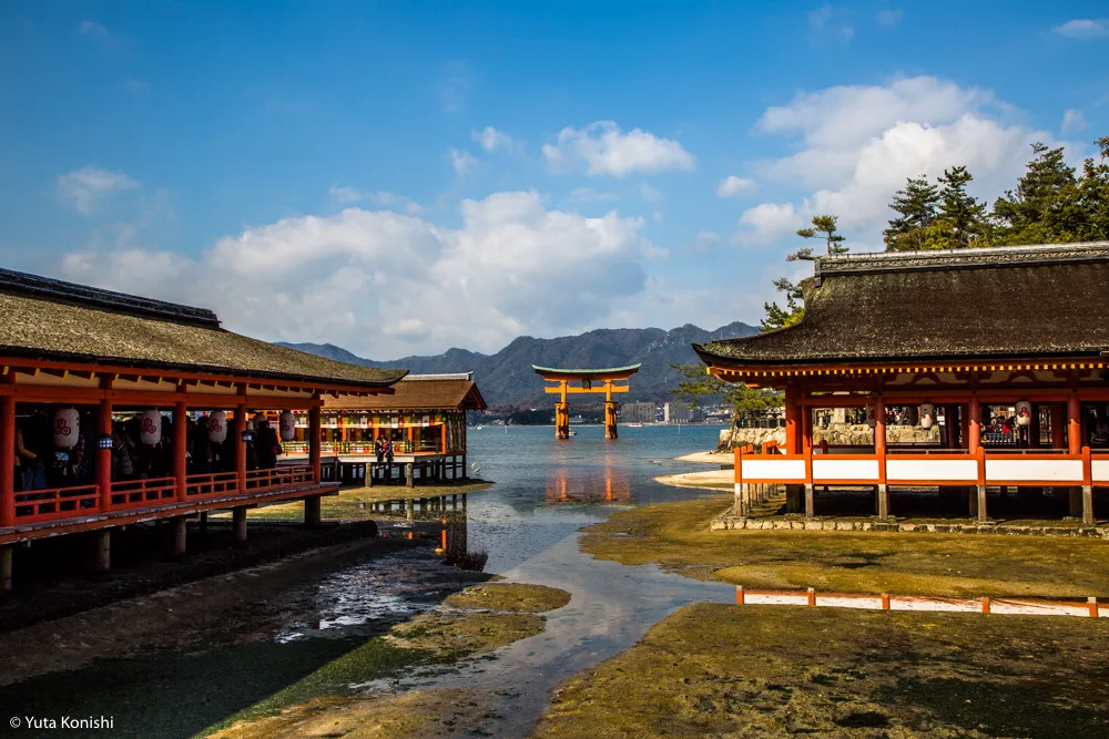 北陸から行く「ウルトラ初詣」北陸から日帰りでどこまで行けるかに挑戦!宮島・広島・岡山・大阪の日帰りの旅!2016年