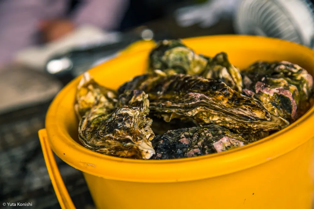 能登最強の牡蠣の店「牡蠣処 海」これ以上混んでは困るが紹介したい!船からテーブルまでほぼ直通の牡蠣はうまいに決まっている。