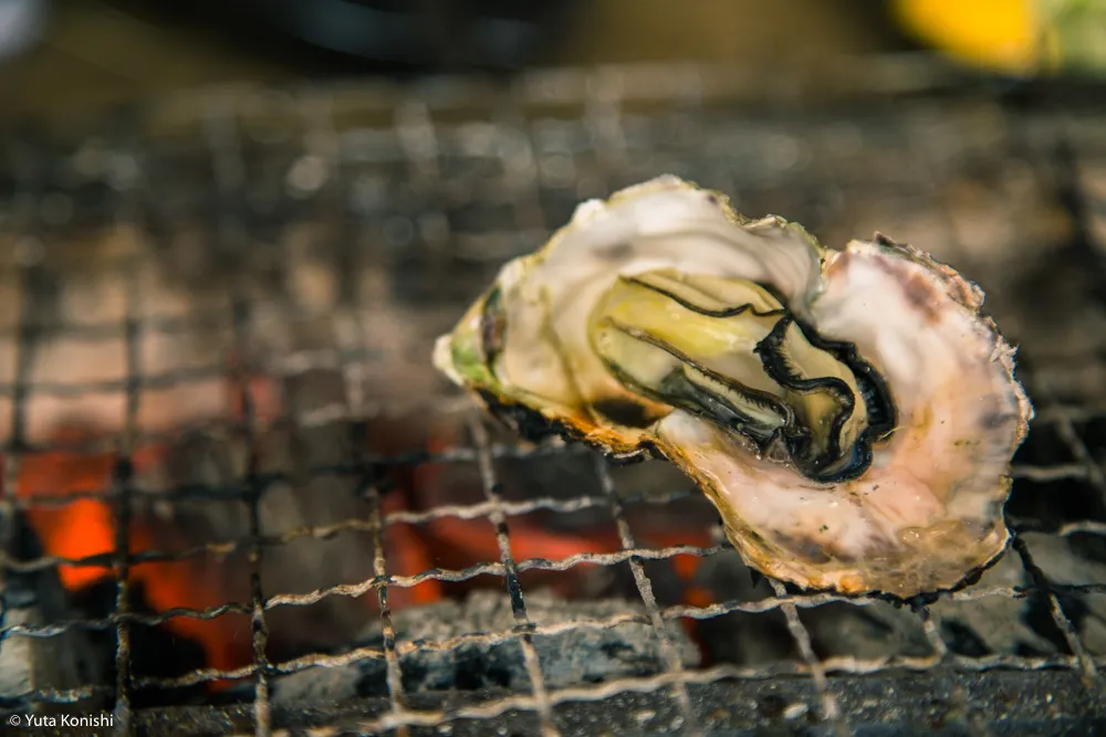 能登最強の牡蠣の店「牡蠣処 海」これ以上混んでは困るが紹介したい!船からテーブルまでほぼ直通の牡蠣はうまいに決まっている。