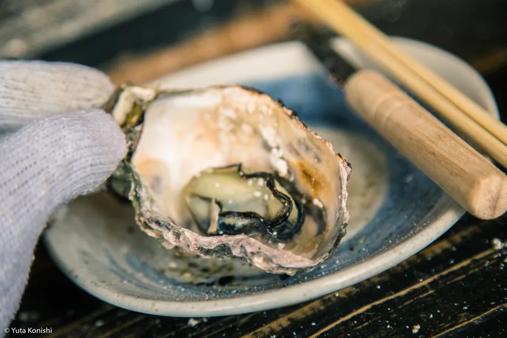 能登最強の牡蠣の店「牡蠣処 海」これ以上混んでは困るが紹介したい!船からテーブルまでほぼ直通の牡蠣はうまいに決まっている。
