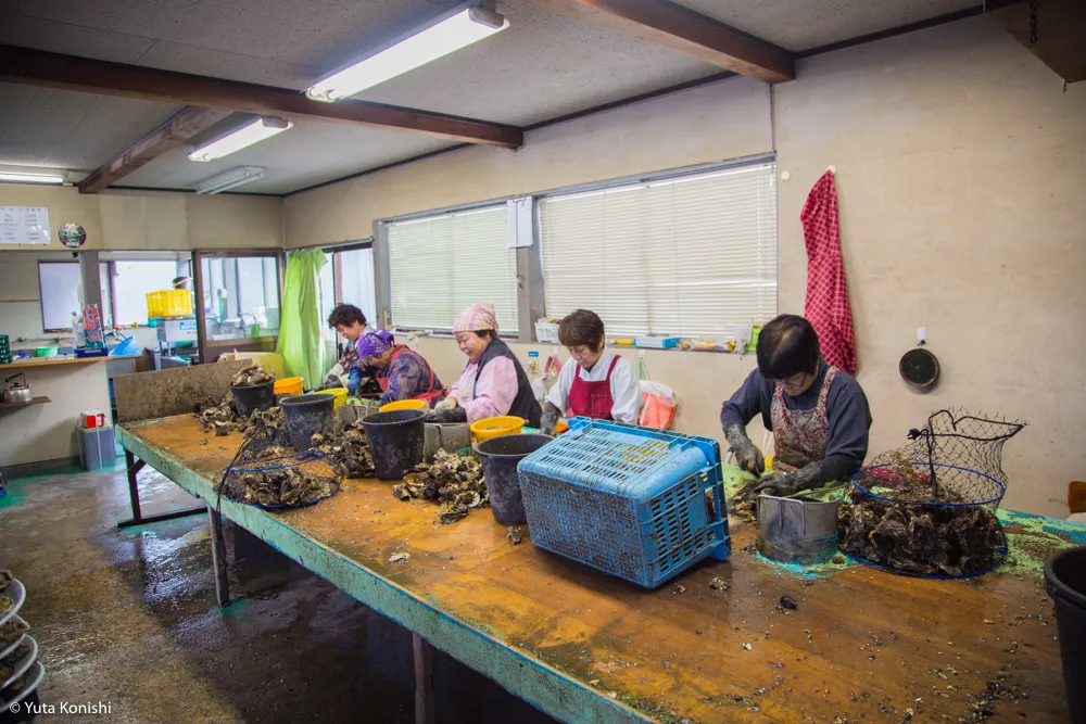 能登最強の牡蠣の店「牡蠣処 海」これ以上混んでは困るが紹介したい!船からテーブルまでほぼ直通の牡蠣はうまいに決まっている。