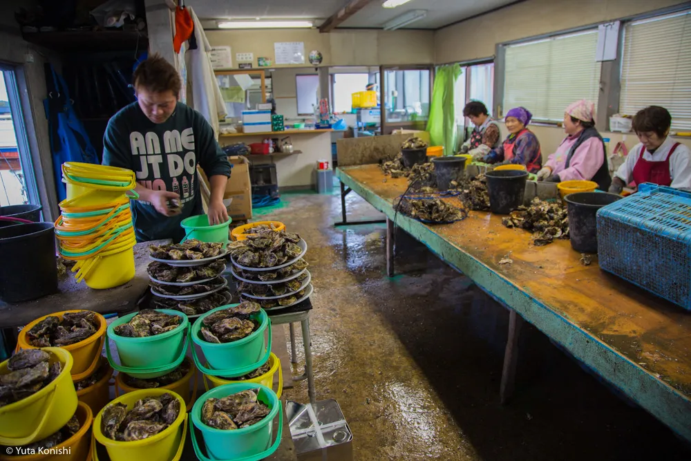 能登最強の牡蠣の店「牡蠣処 海」これ以上混んでは困るが紹介したい!船からテーブルまでほぼ直通の牡蠣はうまいに決まっている。