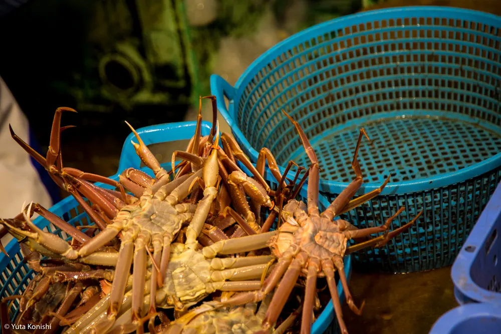 【2016年完全保存版】石川・富山・福井のイベント一覧！紹介するイベントのためだけに北陸へ来ても問題なし！北陸新幹線で北陸を200%満喫する方法をまとめました！！