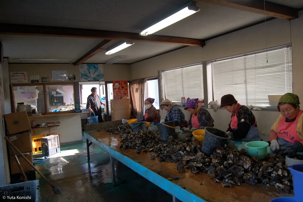 能登最強の牡蠣の店「牡蠣処 海」これ以上混んでは困るが紹介したい!船からテーブルまでほぼ直通の牡蠣はうまいに決まっている。