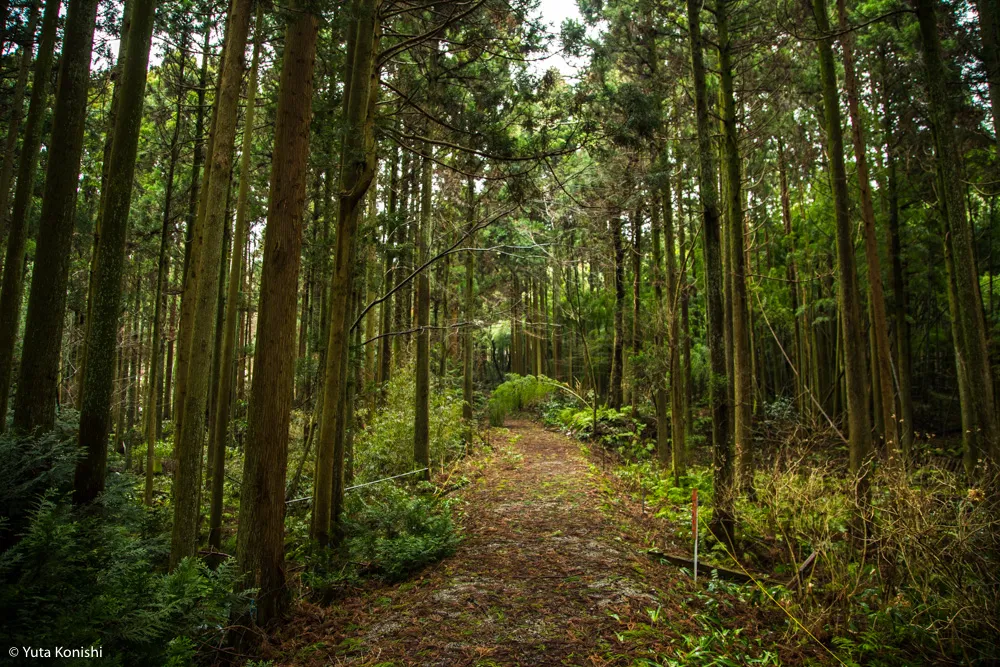 石川県の有名B級珍スポット特集！巨大観音に大仏そしてモーゼの墓が！そこには深い思いがあるから面白いのだ。