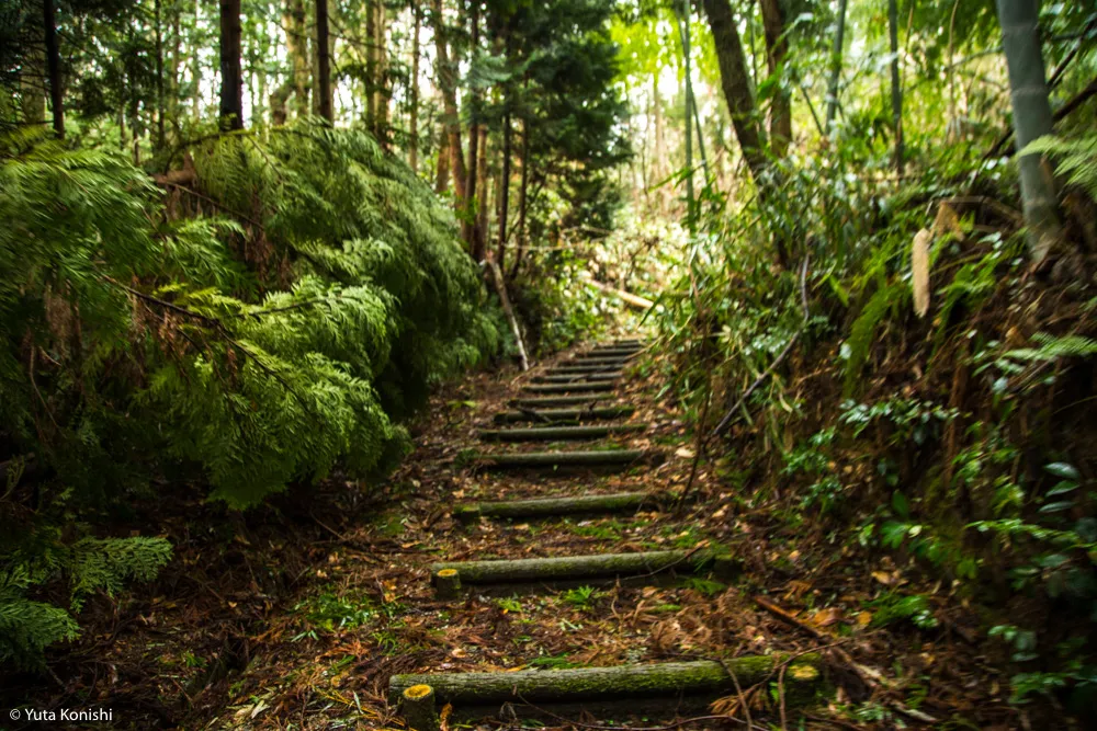 石川県の有名B級珍スポット特集！巨大観音に大仏そしてモーゼの墓が！そこには深い思いがあるから面白いのだ。